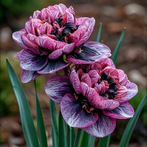 Нарцисс Моргатн Мотив купить по цене от 2000р. в интернет-магазине «Посадика» с доставкой почтой в в Дубовкае и по всей России – [изображение №1].