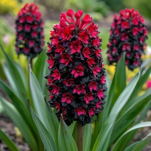 Гиацинт Джем Стоун купить по цене от 2099р. в интернет-магазине «Посадика» с доставкой почтой в в Дубовкае и по всей России – [изображение №1].