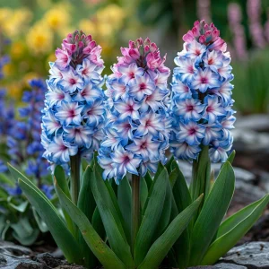 Гиацинт Пинк Мари купить по цене от 2099р. в интернет-магазине «Посадика» с доставкой почтой в в Дубовкае и по всей России – [изображение №1].