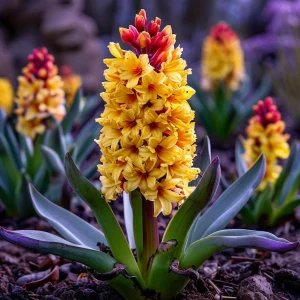 Гиацинт Миднайт Мистери купить по цене от 2099р. в интернет-магазине «Посадика» с доставкой почтой в в Дубовкае и по всей России – [изображение №1].