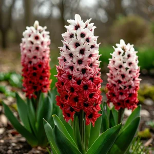 Гиацинт Скай Гарден купить по цене от 2099р. в интернет-магазине «Посадика» с доставкой почтой в в Дубовкае и по всей России – [изображение №1].