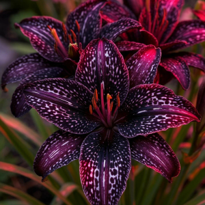 Лилейник Вояж купить по цене от 699р. в интернет-магазине «Посадика» с доставкой почтой в в Дубовкае и по всей России – [изображение №1].